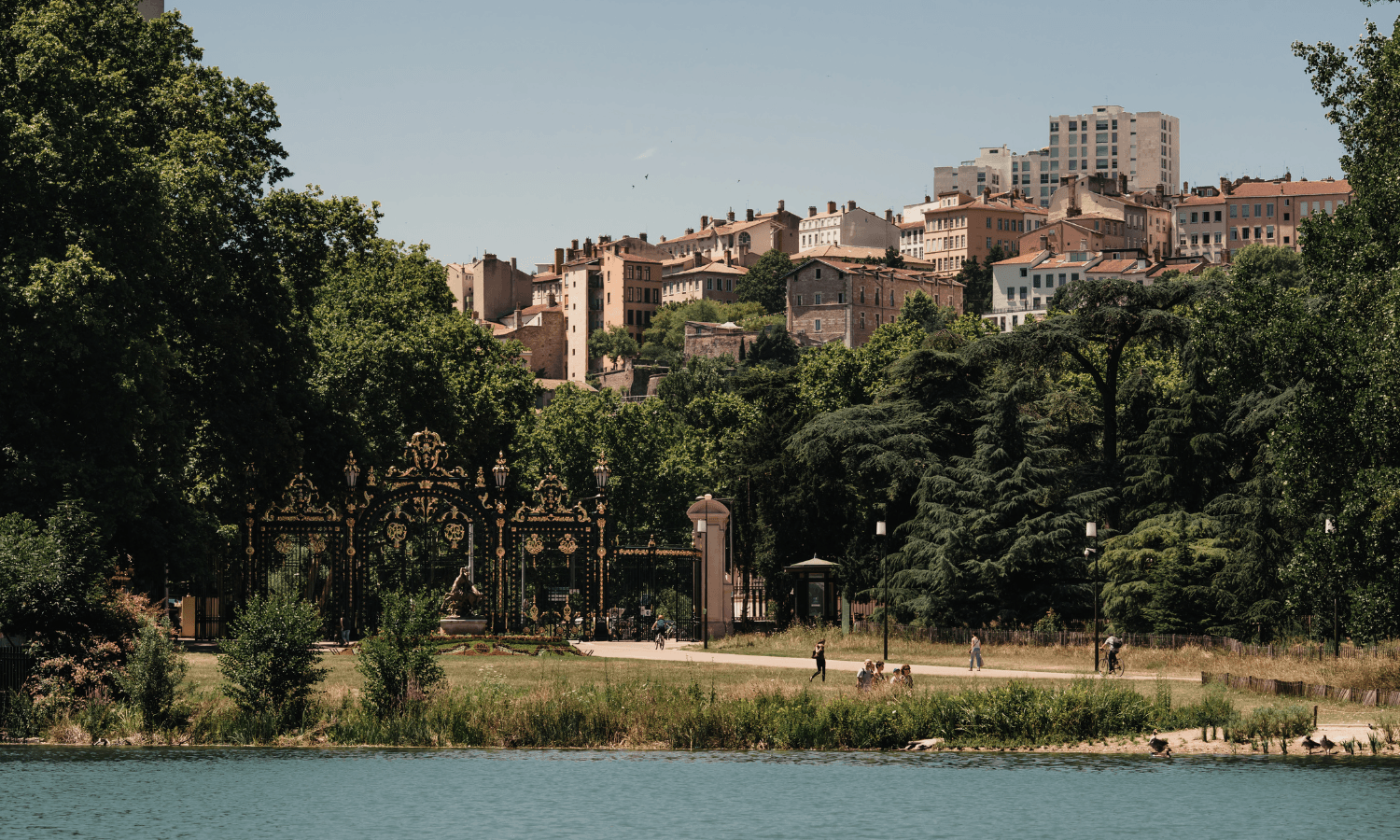featured-image