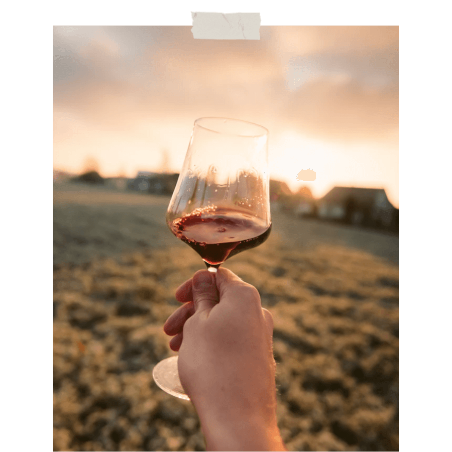 Goûter du vin - que faire à Lyon en mars