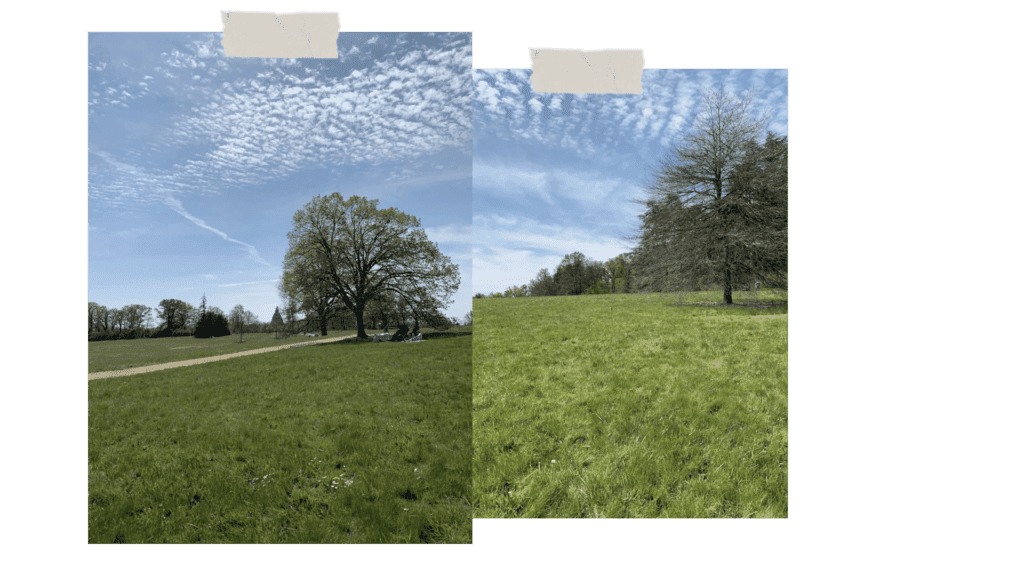 parc-lacroix-laval