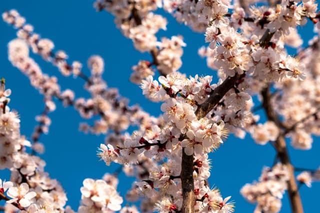 featured-image