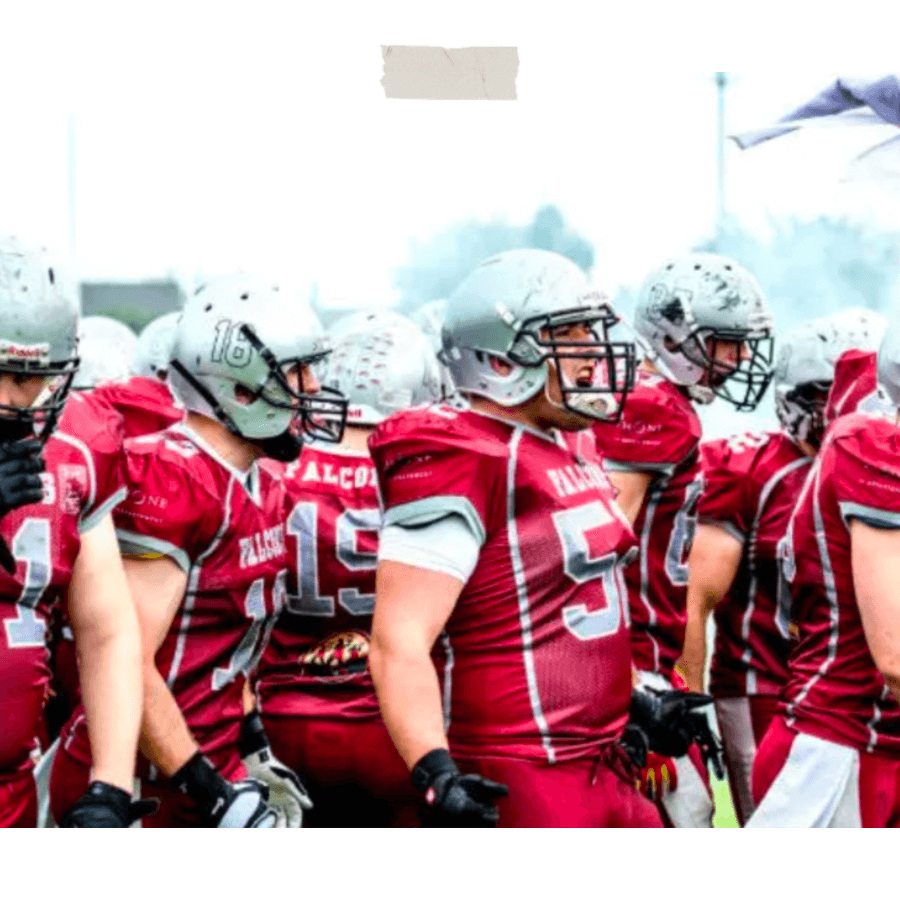 Falcon Bron Villeurbanne - 7 sports à aller voir à Lyon