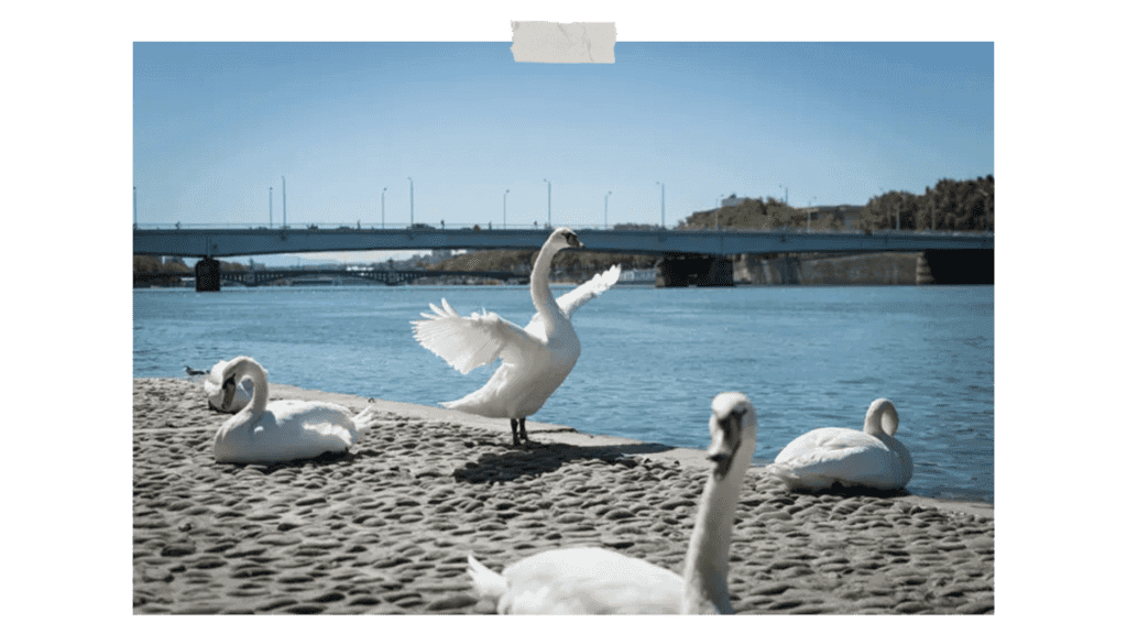 guide-anti-faux-pas-parisiens-lyon-nature