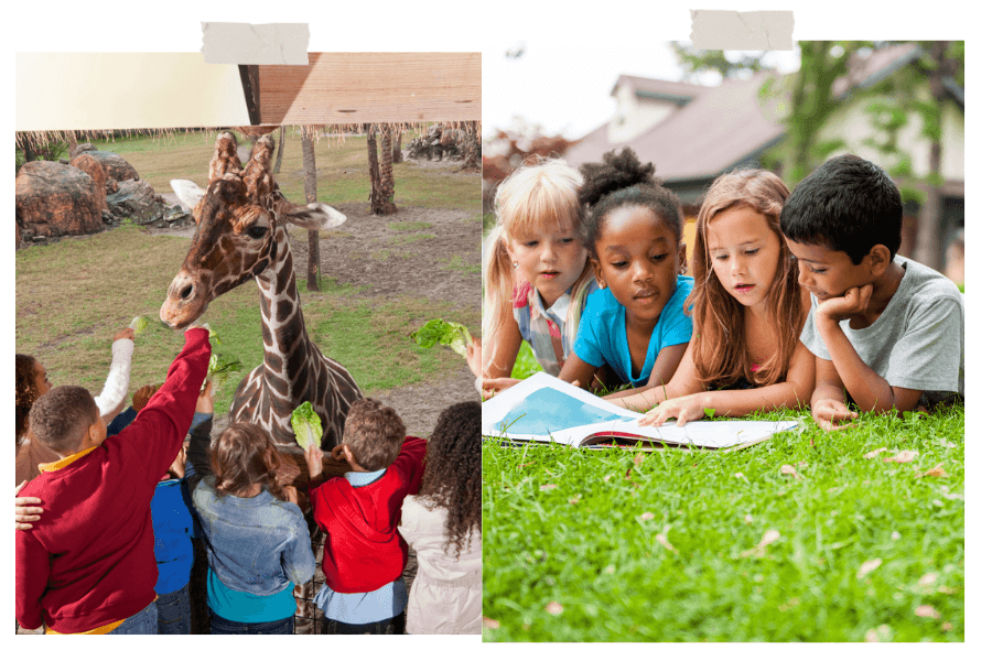 Les Petites Familles - activités enfants vacances scolaires été