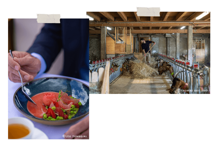 Que faire dans le Pays de Gex _ restaurants et produits du terroir montagnard