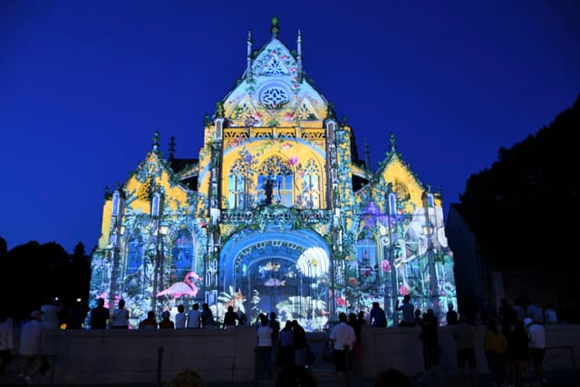 Spectacle son et lumières Couleurs d'Amour