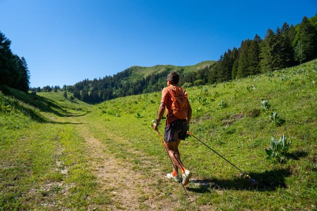 Ultra Trail UTMJ